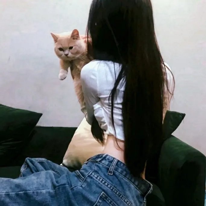 陆小凤与花满楼